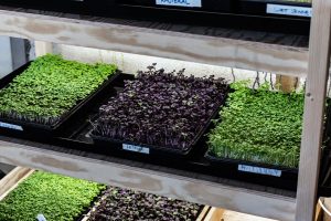 Catering Bjørvika Oslo